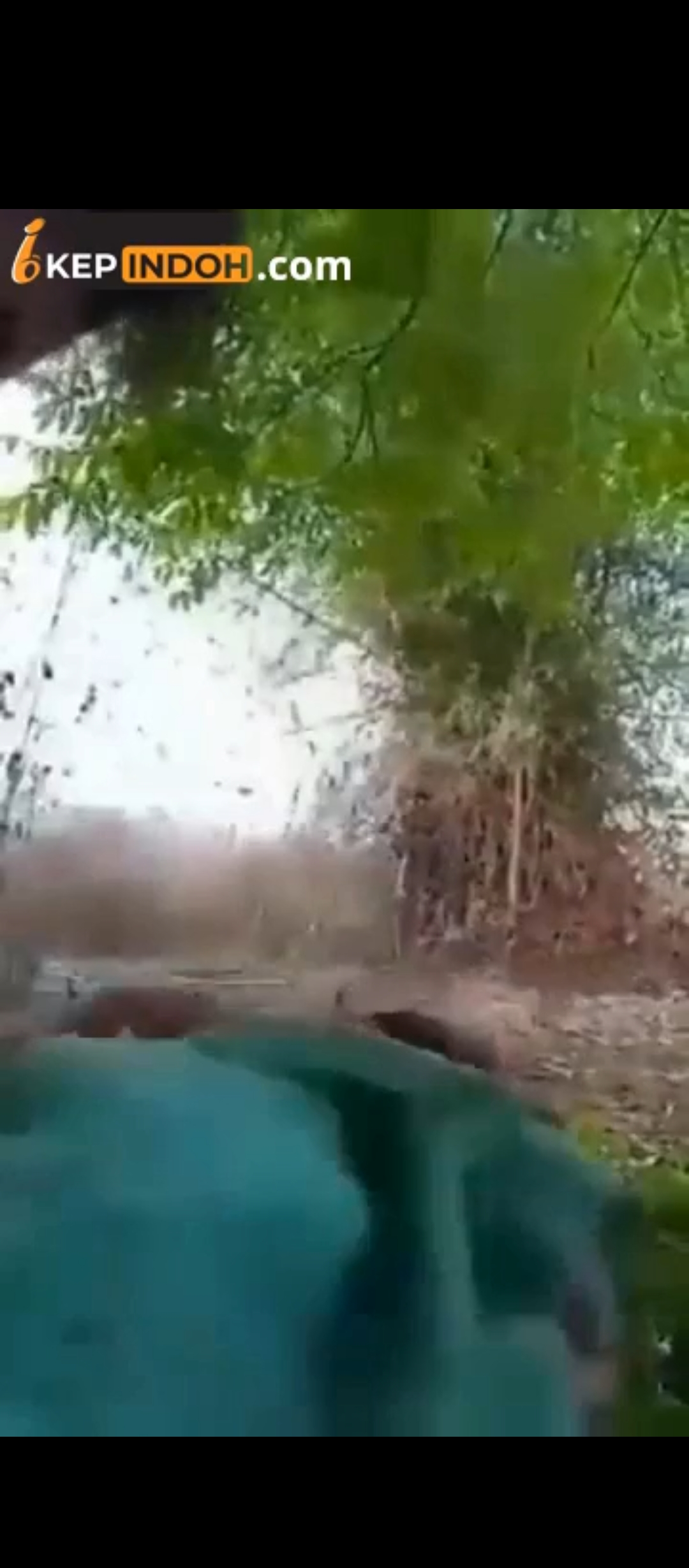 Jablay Sekolah Diewe Treeshome